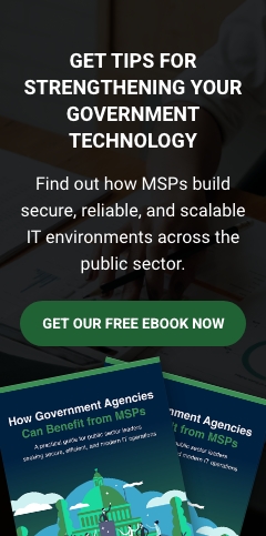OTS How Government Agencies Can Benefit from MSPs InnerPageBanner